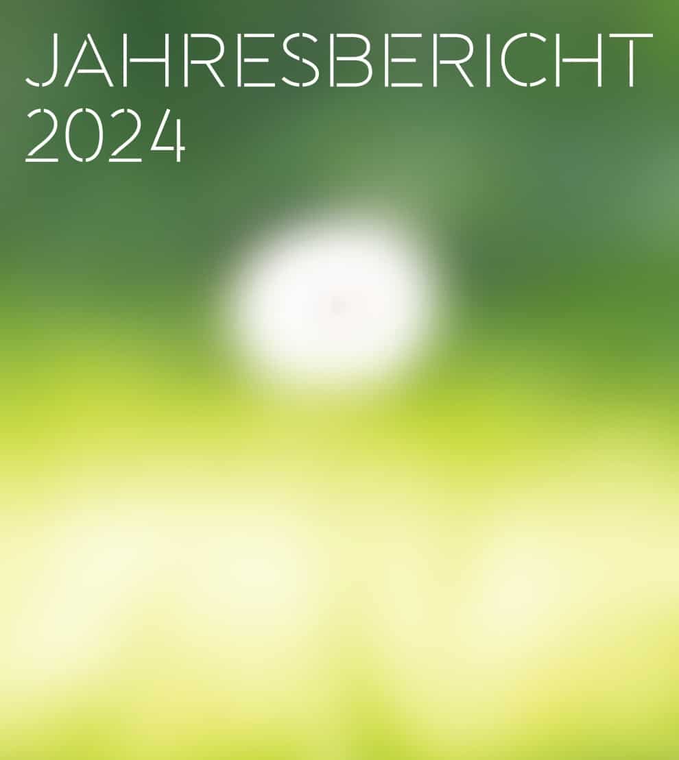 Wirrgarten - Jahresbericht